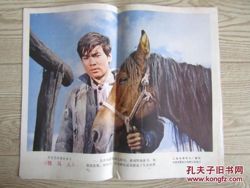 岩手大学计算机科学文凭证书